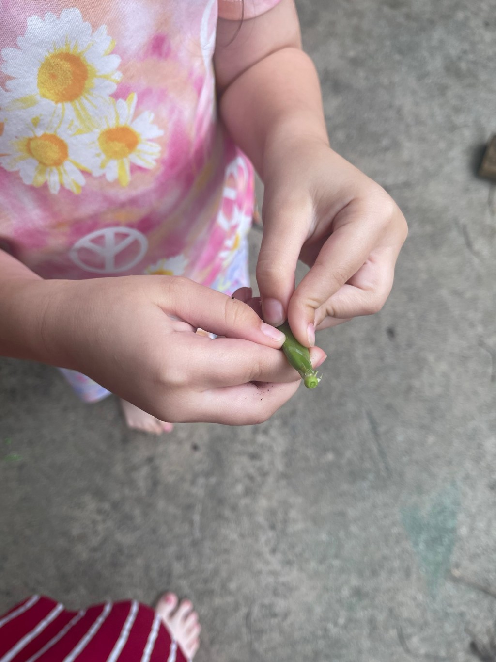 Freebie: Pablo Picasso Artist&nbsp;Study