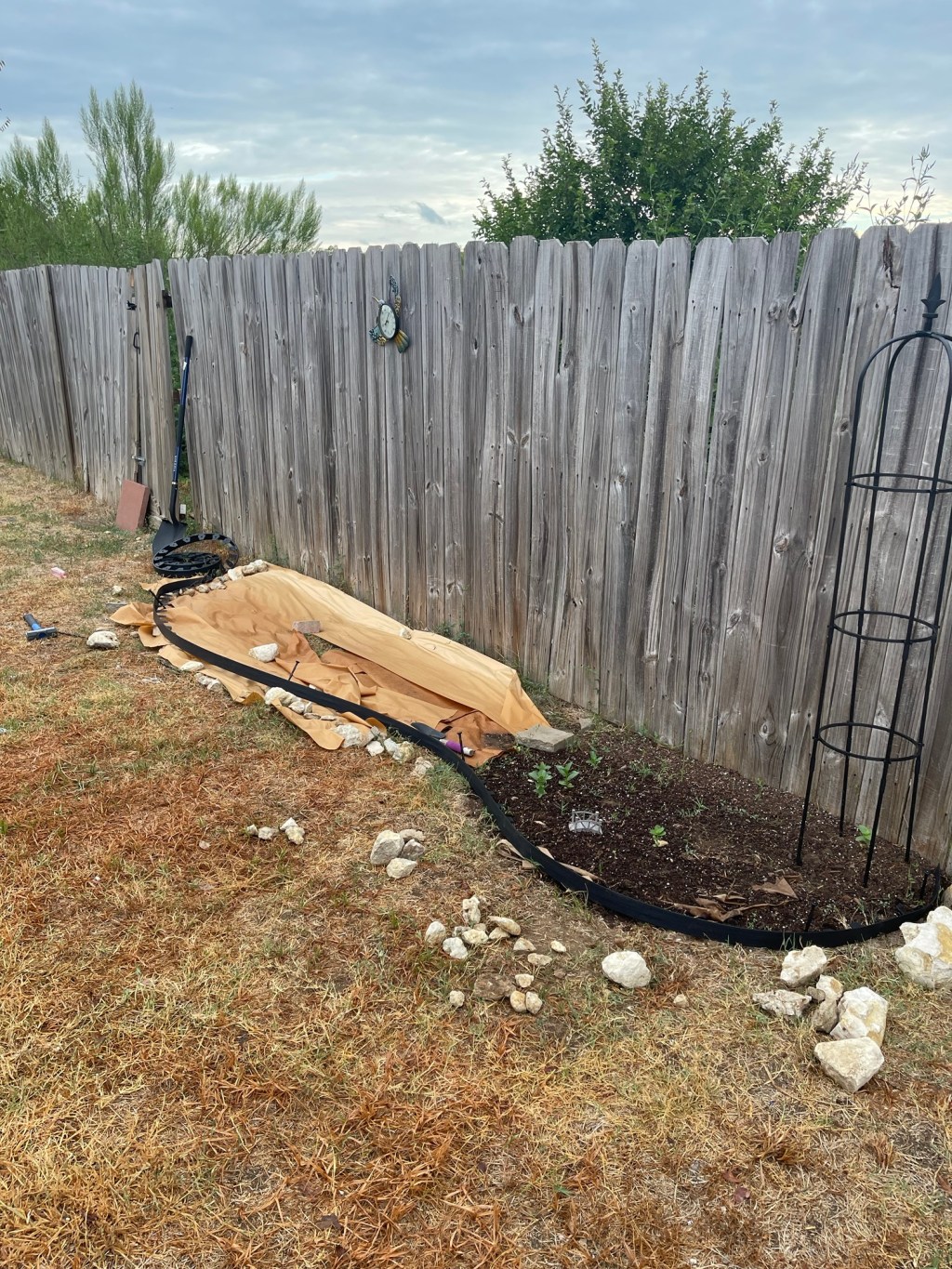 How to Build a Family-Friendly Garden on a&nbsp;Budget