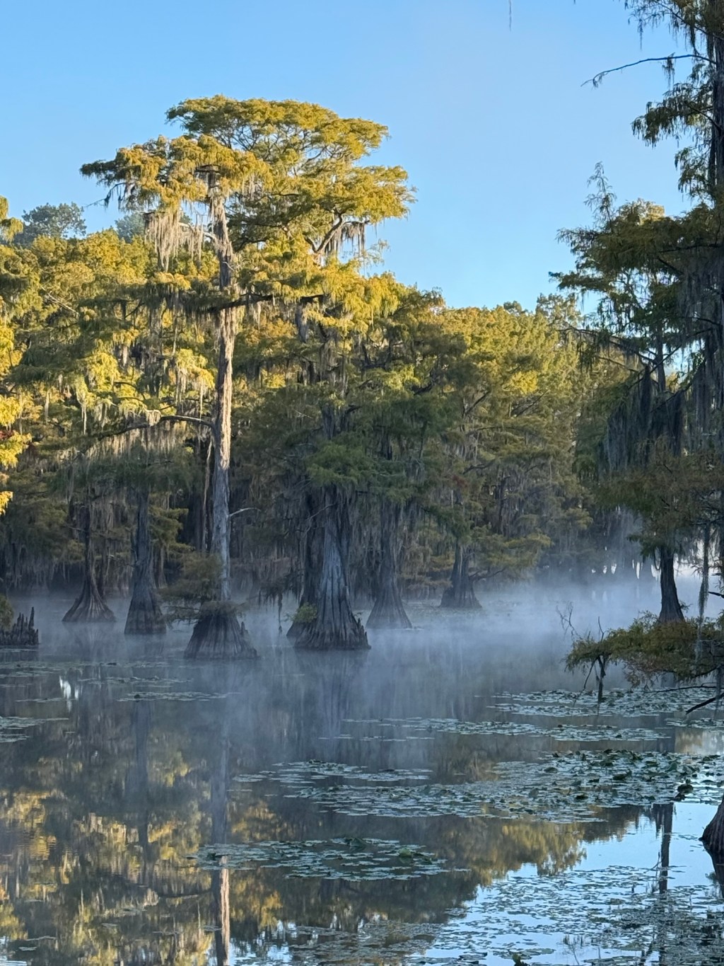 Our Trip to Caddo&nbsp;Lake