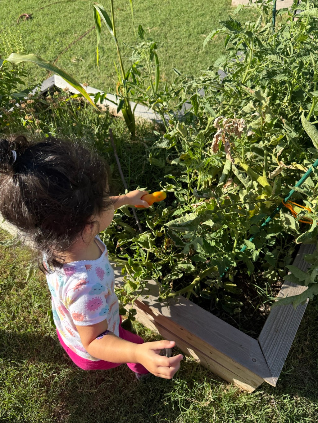 If I Could Only Grow Ten&nbsp;Things