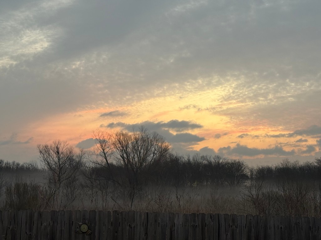 A Simple, Do-able Winter Garden Checklist