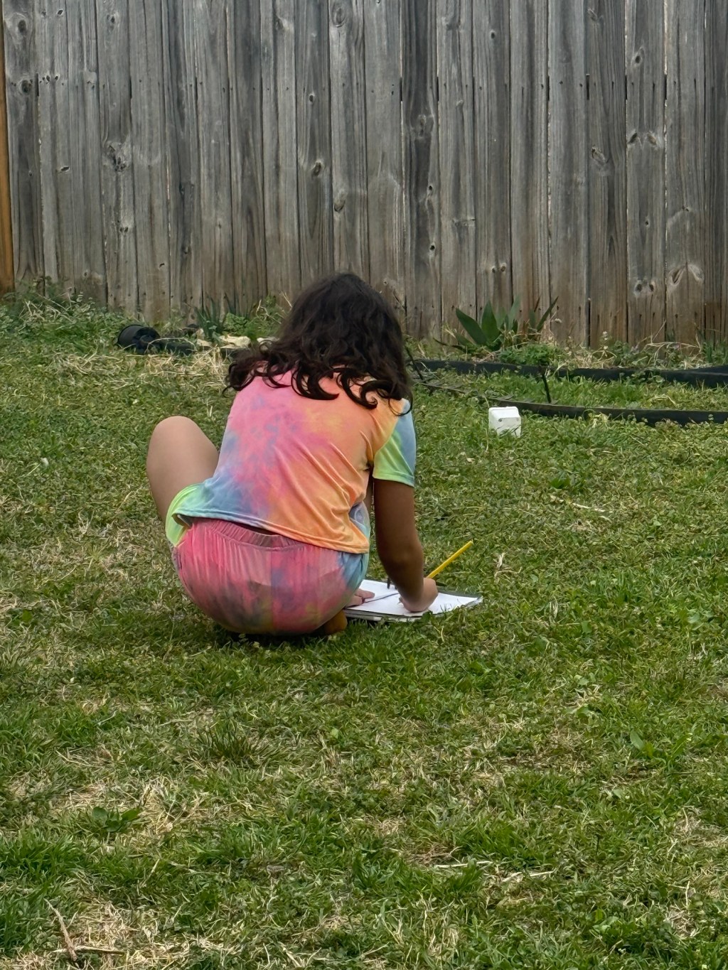 Free Download: Backyard Naturalist Sketch&nbsp;Book