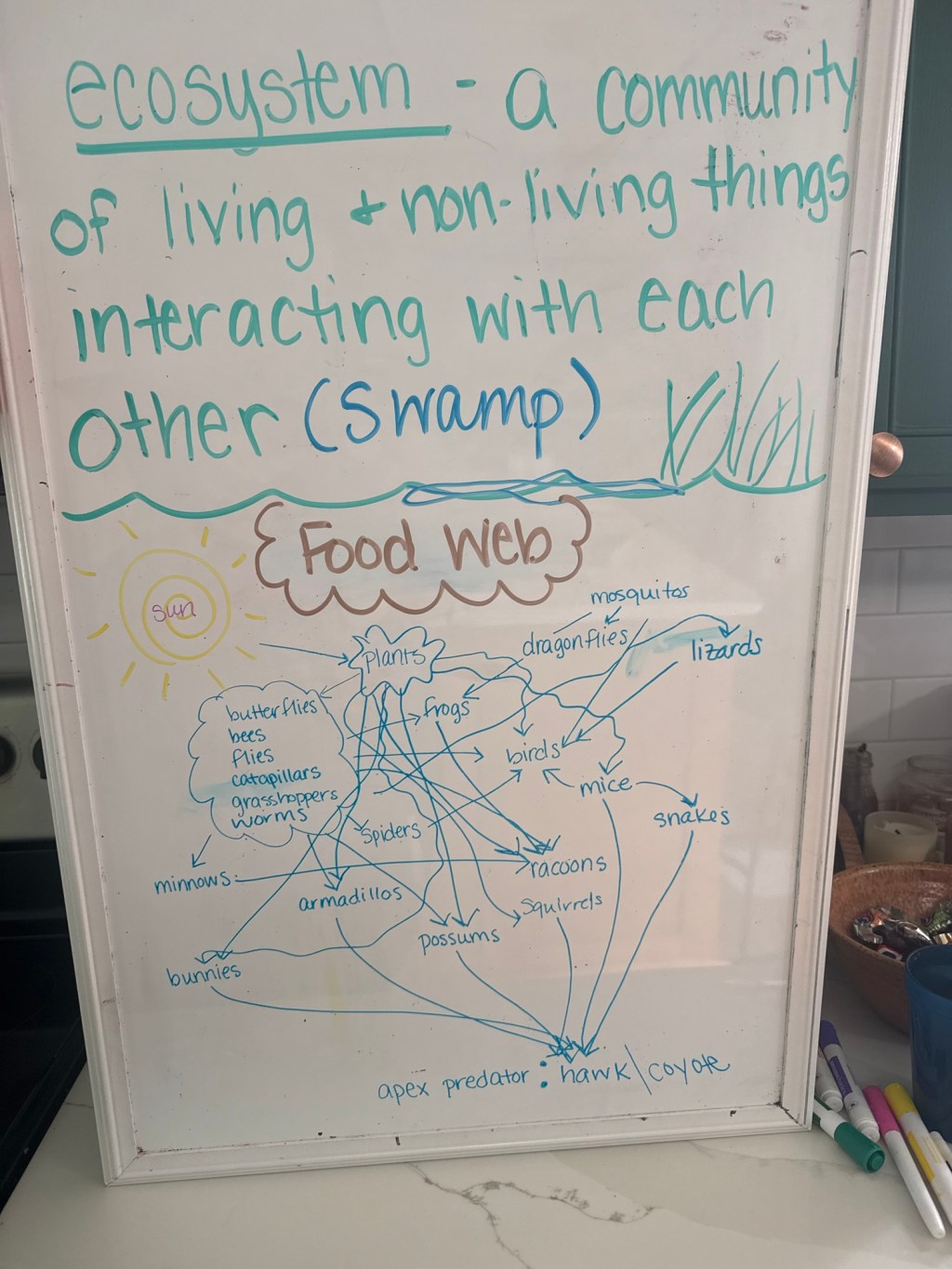 A Day in Our Homeschool