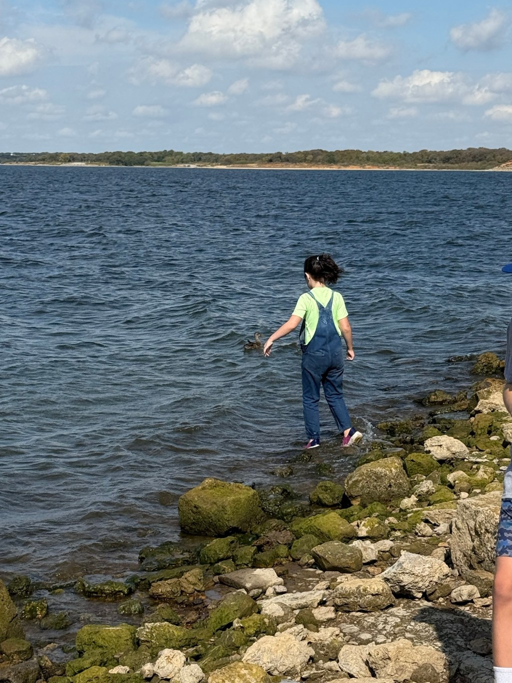 Inside Our Homeschool&nbsp;Week